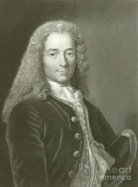 Voltaire Portrait Engraving Drawing By English School