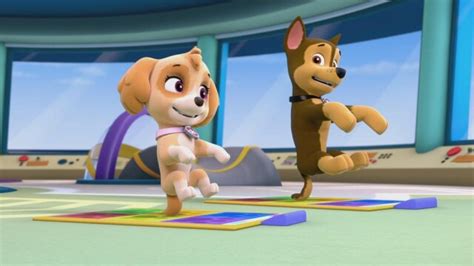 Watch Paw Patrol Pup Pup Boogie Pups In A Fog S1 E2 Tv Shows Directv