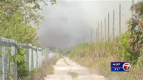 Firefighters Battle Brush Fires In Collier Hendry Counties Wsvn