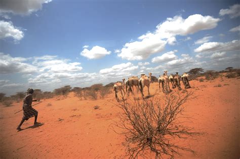 Zed Jameson Photography: Flight to Dadaab Refugee Camp.