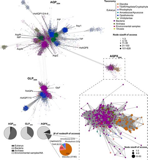 Close Up View Of Cluster Of The Sequence Similarity Network Ssn The