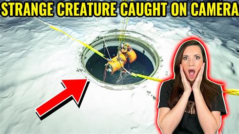 Most Amazing Discoveries Found Frozen In Ice Youtube