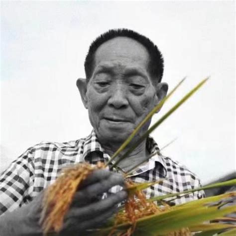 Father Of Hybrid Rice Passes Away At 91