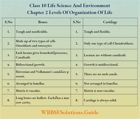 WBBSE Solutions For Class 10 Life Science Chapter 2 Levels Of