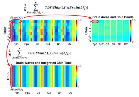 Schematic Presentation Of Coarse Graining Procedure For Brain Muscle