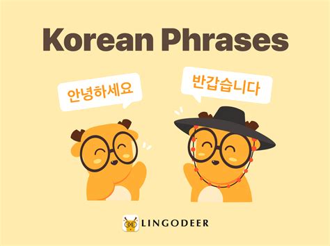 Most Useful Korean Phrases You Should Know - LingoDeer