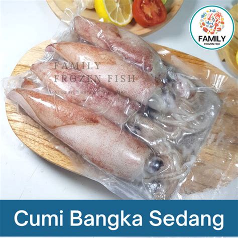 Promo Cumi Cumi Segar Cumi Bangka Sedang Frozen Premium Quality