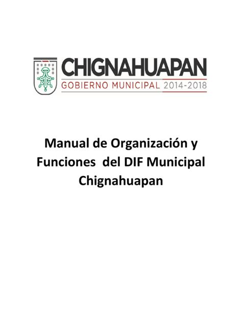 Manual De Organización Y Funciones Del Dif Municipal