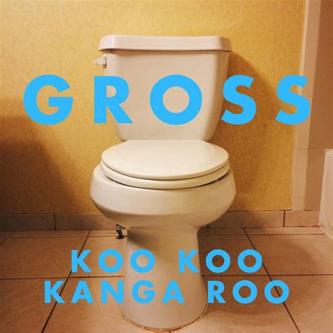 Koo Koo Kanga Roo Top Songs Discography Lyrics