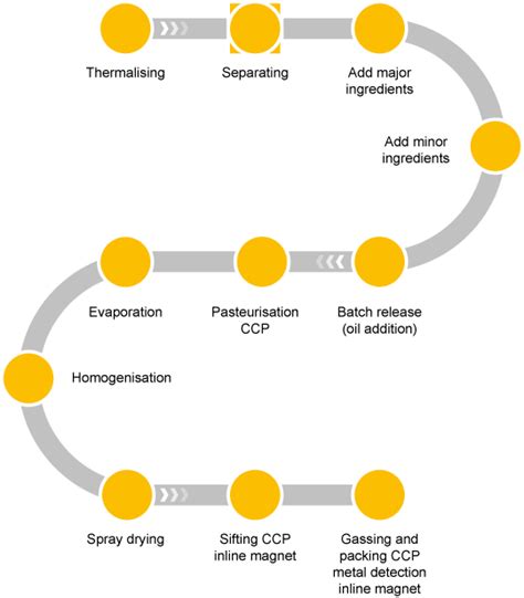 HACCP Flow Chart Guide