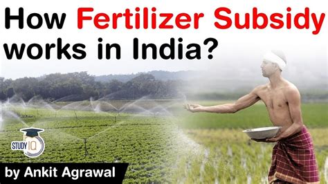 Fertilizer Subsidy In India How It Works Steps India Can Take To Stop