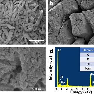 A Sem Image Of Feaca B Low And C High Magnified Sem Images For Feaca