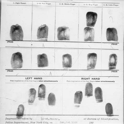 From Photographs To Fingerprints New York City’s System Of Criminal Identification