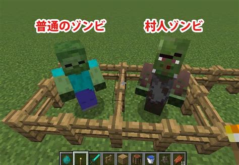 【マインクラフト】村人ゾンビを治療しよう！捕獲方法とトラップ作り！