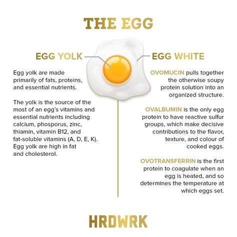 What Do You Know About Eggs🥚🍳 Vitamins In Eggs Fat Soluble Vitamins