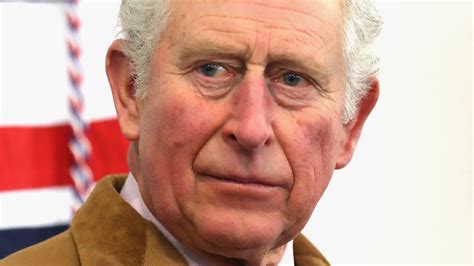 Royal Expert Details The Olive Branch King Charles Has Recently Given