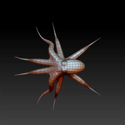 3D Model 3D OCTOPUS VR AR Low Poly CGTrader