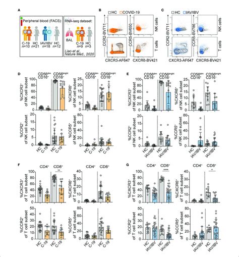 Altered Composition Of Nk Cells And T Cells Expressing Different