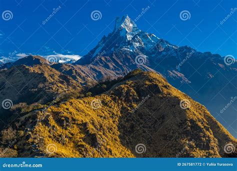 Machapuchare Oder Fischschwanz Heiliger Berg In Nepal Stockfoto Bild