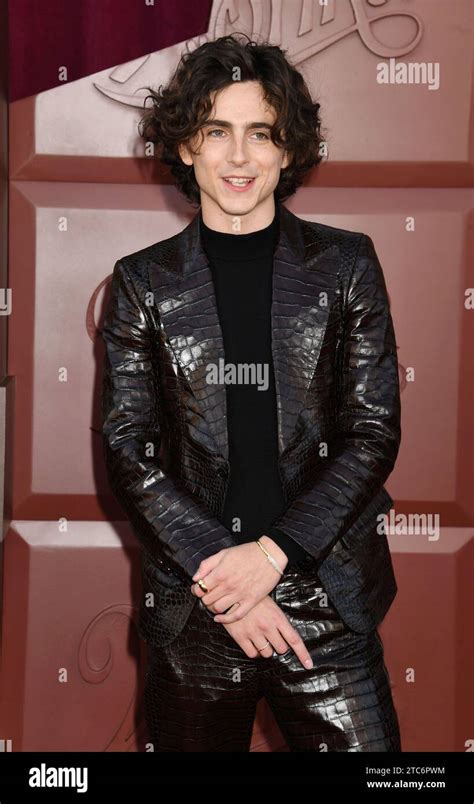 Timothee Chalamet Wonka Fotos Und Bildmaterial In Hoher Aufl Sung Alamy