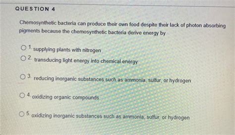 Solved Chemosynthetic Bacteria Can Produce Their Own Food