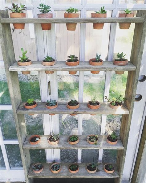 22 Greenhouse Shelving Ideas Best Greenhouse Shelf To Create Space