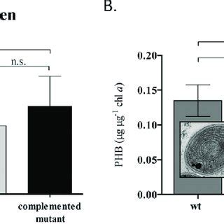 Growth Curves Of Synechocystis Sp Pcc Wild Type Wt And Kpsm