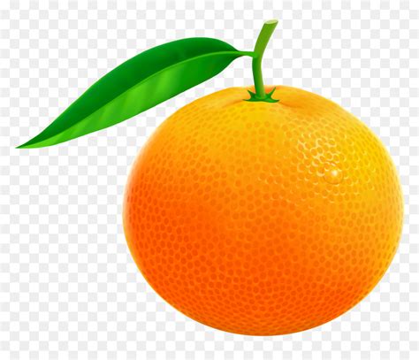 Orange Fruit Clipart - Orange Images Clip Art, HD Png Download - vhv