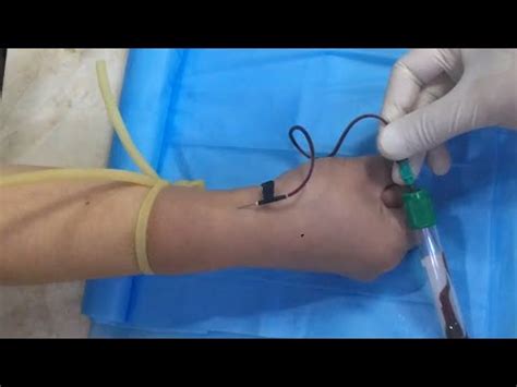 Phlebotomist YouTube