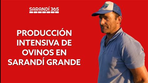 Juan Ramiro Murguiondo productor de ovinos en Sarandí Grande YouTube