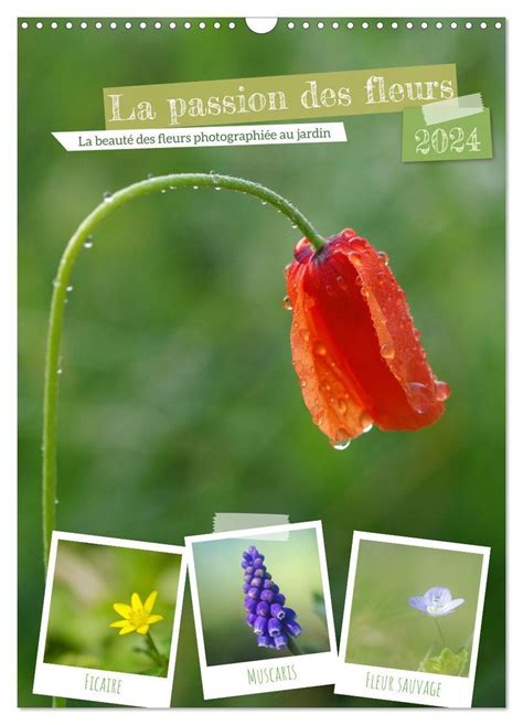 La Passion Des Fleurs Calendrier Mural 2024 DIN A3 Horizontal