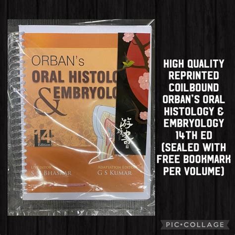 Orbans Oral Histology And Embryology 14th Edition Orbans Histo