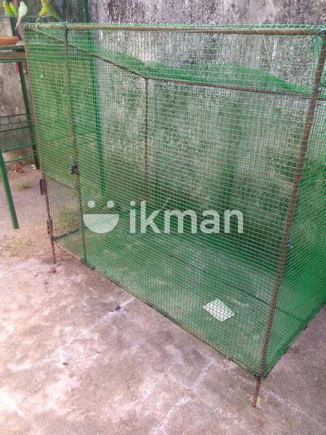 Birds Cage In Negombo Ikman