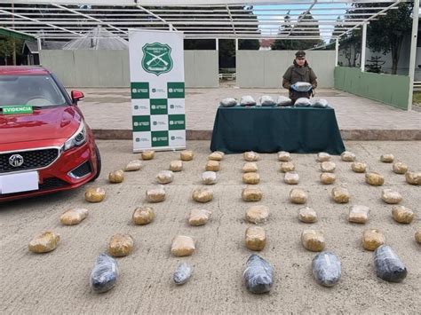 Carabineros Decomis Kilos De Marihuana En Regi N De Los Lagos El