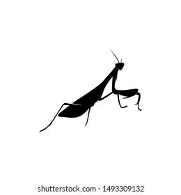 Grasshopper Logo Design Vector Illustration Grasshopper Stock Vector (Royalty Free) 1493309132 ...