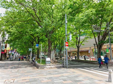 府中駅周辺の住みやすさは？治安や口コミ・子育て事情など緑豊かなエリアの住環境を解説 クラモア