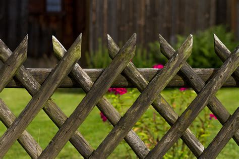 Tips to Refresh Your Wooden Fence Panels this Spring - eDecks Blog