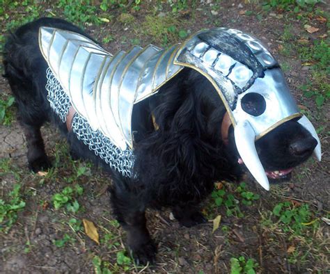 Dog Knight Armor