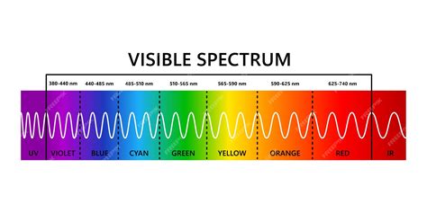 Espectro De Luz Visível Infravermelho E Ultravioleta Comprimento De