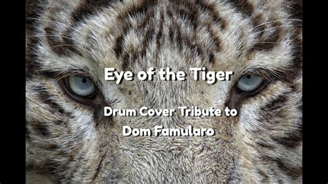 Eye Of The Tiger Drum Cover Tribute To Dom Famularo YouTube