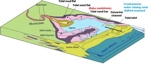 A Schematic Model Display The Different Depositional Environment And