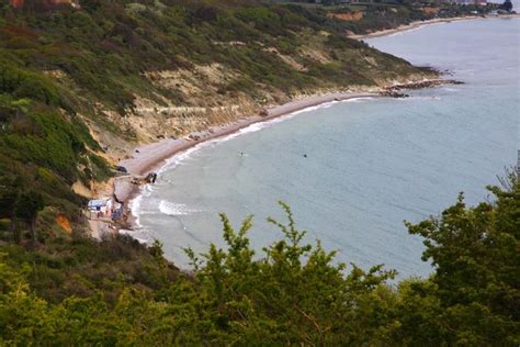 Whitecliff Bay from Culver Down Photo | UK Beach Guide