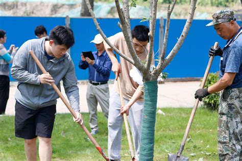 2023届毕业生感恩母校捐树植树活动顺利开展