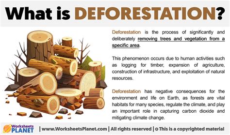 What Is Deforestation Definition Of Deforestation