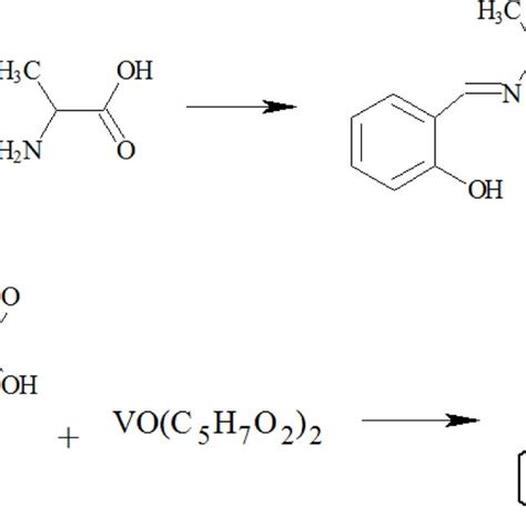 Synthesis Of Oxovanadium Complexes With Tert Butyl Amino Imino Methyl