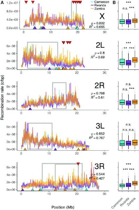 A Genome Wide Recombination Landscapes For Drosophila Melanogaster