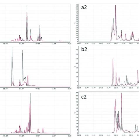 Observed Black And Simulated Red Streamflow Hydrographs