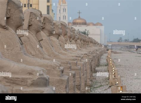 The Ancient Sphinx Statues Lining The Avenue Of Sphinxes In Luxor