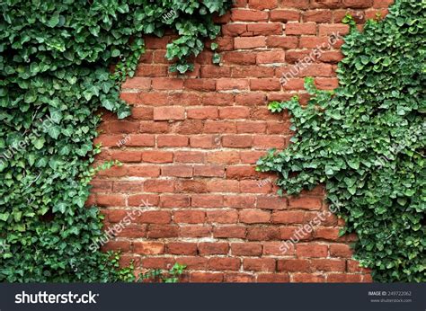 Old Texture Brick Wall Background Detailed Stock Photo