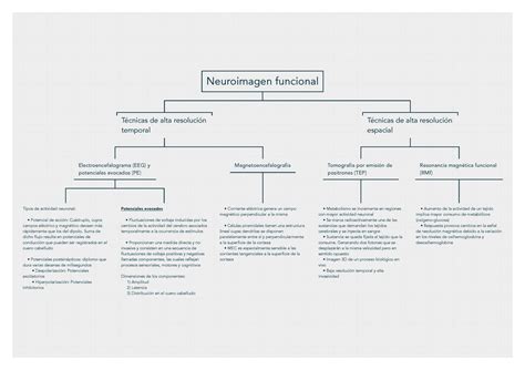 Tema M Todos De Investigaci N Neurociencia Cognitiva Uned Studocu